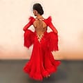 Ballroom Dresses Market